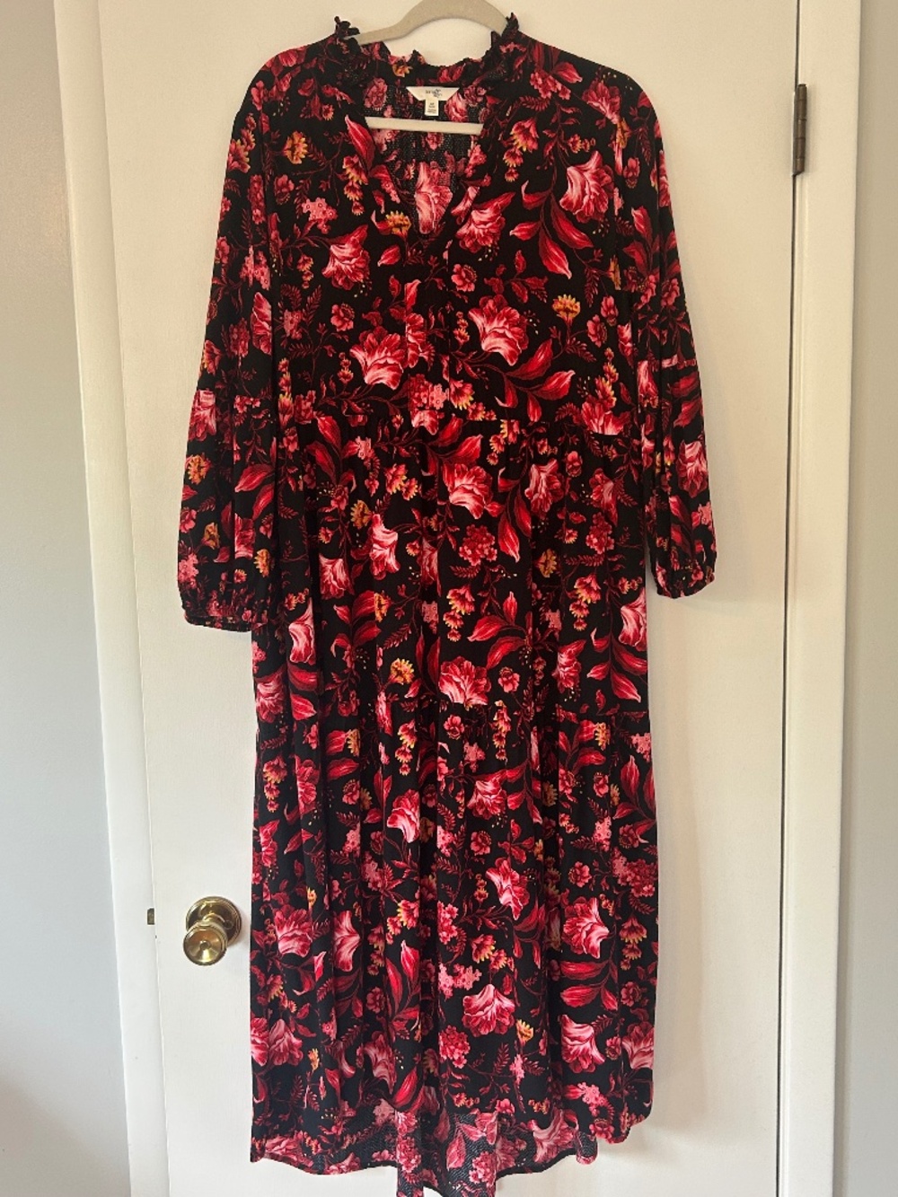 Terra & Sky Black and Red Floral Dress
